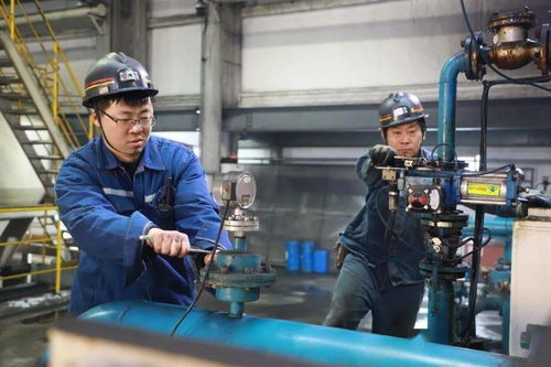 郭屯煤矿多措并举提升煤质含金量，选煤设备助力增效